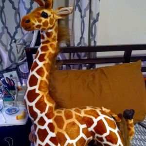 tall stuffed animal that u keep a time card of feedining.